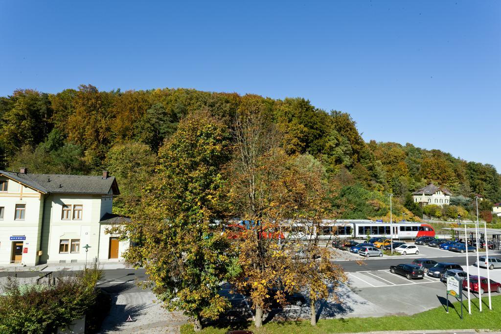 לאסניצהוה Gasthof "Zur Bahn" מראה חיצוני תמונה